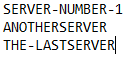 Abbildung: Beispielhafte Text-Datei mit Liste aus Servern